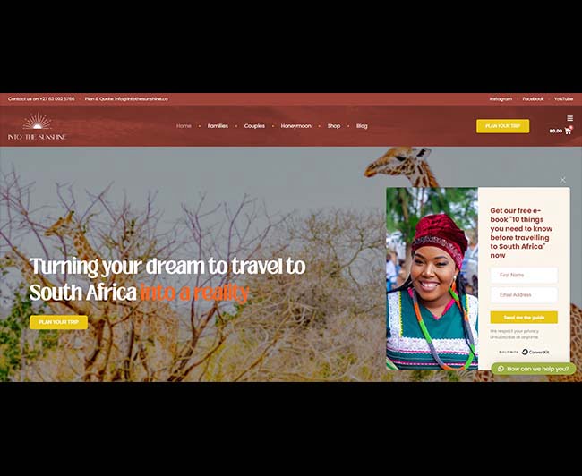 intothesunshine-website-development-garden-route